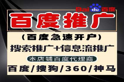 行业应用案例：SEM代运营公司的智慧与策略